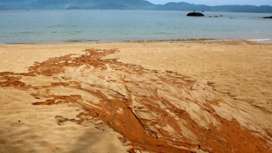 Đà Nẵng báo cáo Thủ tướng vụ bùn đỏ đổ xuống biển