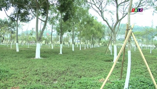 UBND thành phố Lào Cai Công bố Quyết định quy hoạch cải tạo và phát triển hệ thống cây xanh đô thị