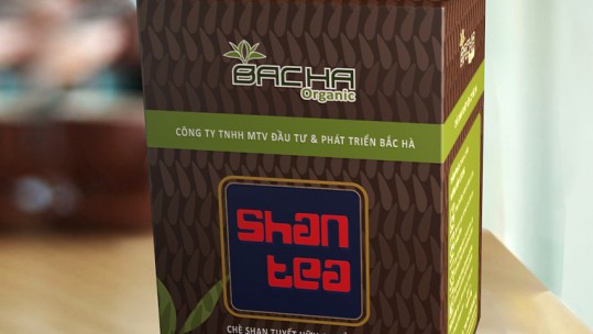 Chè Shan Bắc Hà được cấp giấy chứng nhận đăng ký nhãn hiệu sản phẩm