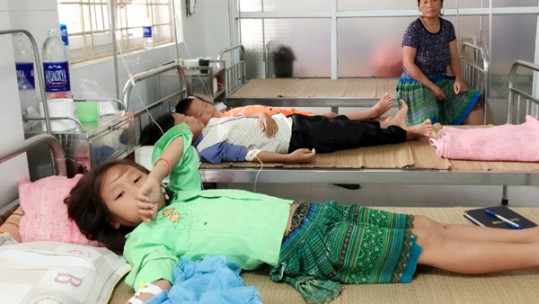 6 trẻ em ở Bảo Yên bị ngộ độc nấm