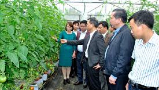 Tỉnh Lào Cai và Lâm Đồng  đẩy mạnh hợp tác phát triển nông nghiệp công nghệ cao