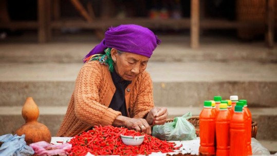 Lào Cai: nhiều nông sản phẩm được xác nhận chuỗi  sản phẩm an toàn