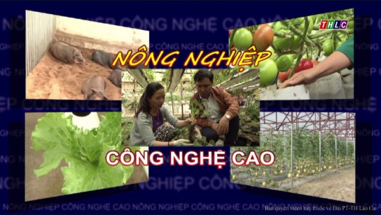 Lào Cai phát triển nông nghiệp ứng dụng CNC (13/12/2017) | THLC