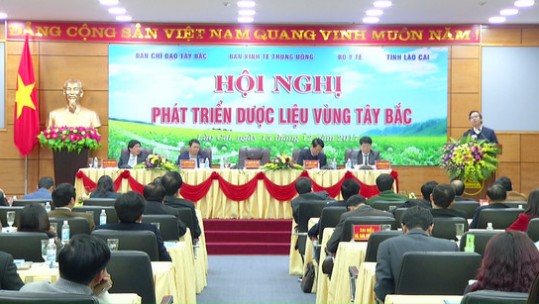 Hội nghị phát triển vùng dược liệu Tây Bắc được tổ chức tại thành phố Lào Cai
