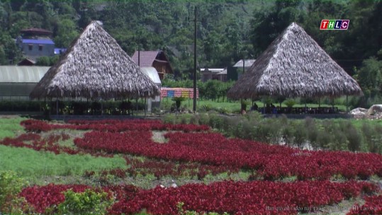 Liên kết sản xuất, hướng đi tất yếu trong phát triển nông nghiệp ở Lào Cai