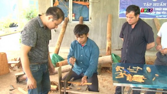 Người có công trong việc nâng cao giá trị cây quế ở xã Nậm Đét, huyện Bắc Hà