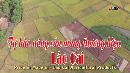 Tự hào nông sản mang thương hiệu Lào Cai