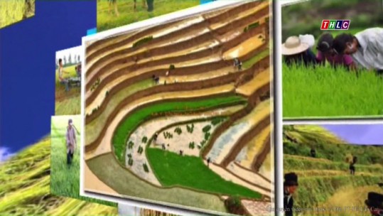 Lào Cai xây dựng nông thôn mới: Sáng tạo trong xây dựng NTM ở Lào Cai (14/2/2018)