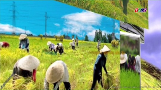 Lào Cai xây dựng nông thôn mới: Xây dựng NTM góp phần nâng cao đời sống người dân (21/2/2018)
