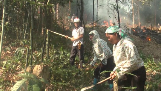 Triển khai các biện pháp phòng chống cháy rừng, bảo vệ rừng