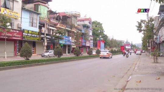 Thành phố Lào Cai tăng cường xã hội hóa phát triển cây xanh đô thị