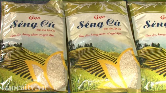 Lào Cai xây dựng chuỗi sản phẩm gạo Séng Cù