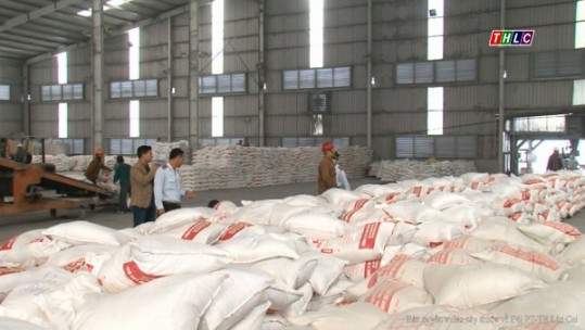 Gần 400 nghìn tấn phân bón đã được sản xuất
