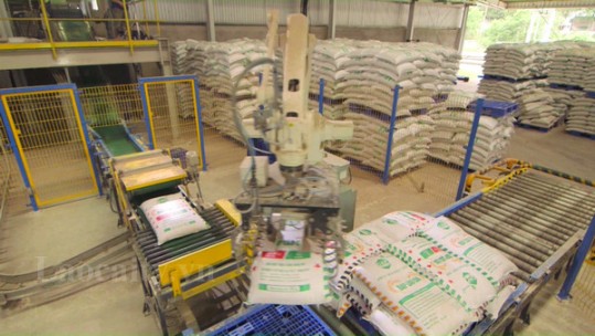 Gần 200.000 tấn phân bón các loại được sử dụng trong sản xuất