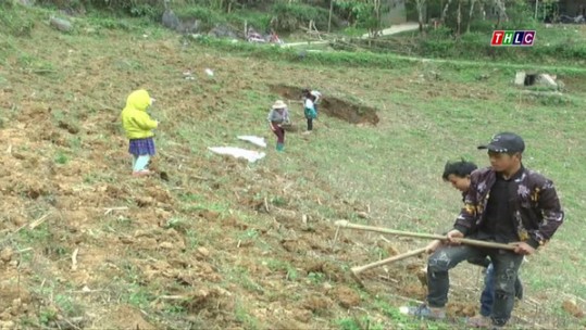 Khó khăn trong sản xuất nông nghiệp vụ xuân ở huyện vùng cao Si Ma Cai