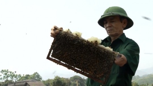 Vua ong miền núi Phạm Thanh  Xuân