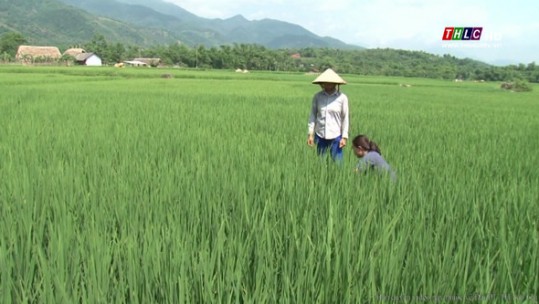 Liêm Phú (Văn Bàn): Khó khăn trong xây dựng xã nông thôn mới kiểu mẫu