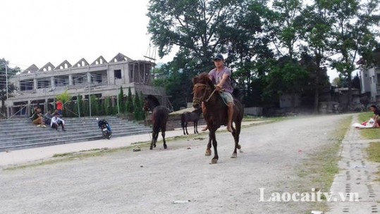 Tích cực luyện tập chuẩn bị cho giải đua ngựa truyền thống huyện Bắc Hà năm 2018