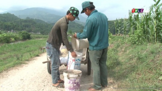 Hiệu quả của mô hình thu gom chất thải ở xã Quang Kim, huyện Bát Xát