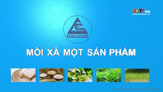 Lào Cai - Mỗi xã một sản phẩm: Gạo Séng Cù (30/5/2018)