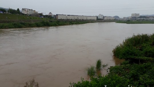 Sông Hồng xuất hiện lũ khá cao