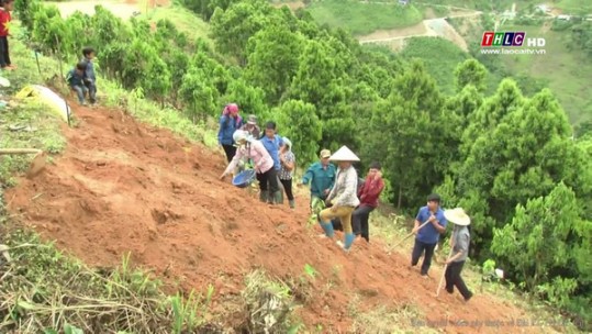 Thêm hướng phát triển kinh tế mới cho người nông dân Nậm Đét, huyện Bắc Hà