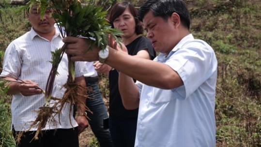Thứ trưởng Bộ Nông nghiệp & Phát triển nông thôn khảo sát các mô hình sản xuất nông nghiệp tại Lào Cai