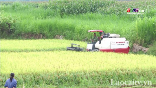 Nghị quyết tam nông và những đổi thay tích cực ở huyện Bảo Thắng