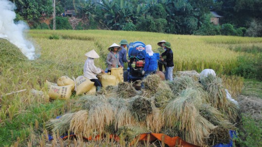 Xây dựng nông thôn mới ở Lào Cai: Nghiêm túc, chủ động và sáng tạo