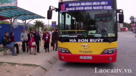 Đến năm 2025 Lào Cai sẽ có 29 tuyến xe buýt