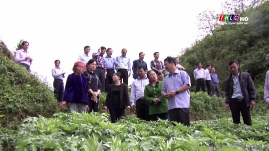 Hội nông dân tỉnh Lào Cai – Dấu ấn một nhiệm kỳ Đại hội