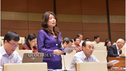 Hoạt động của Đoàn đại biểu Lào Cai tại Kỳ họp thứ 6, Quốc hội khóa XIV