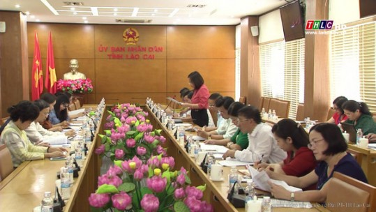 Ủy ban Quốc gia Vì sự tiến bộ của phụ nữ làm việc tại Lào Cai