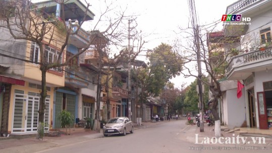 TP Lào Cai cải tạo, chỉnh trang cây xanh đô thị trên nhiều tuyến phố chính