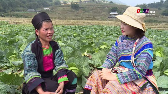 Truyền hình thực tế tiếng H'Mông (10/11/2018)