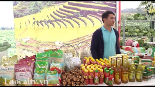 Lào Cai tham gia xúc tiến thương mại các sản phẩm nông sản an toàn tại tỉnh Nam Định