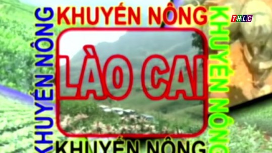 Lào Cai chuẩn bị tổ chức diễn đàn khuyến nông
