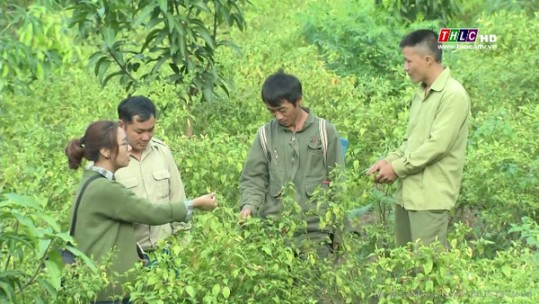 Phát huy vai trò của đảng viên tại thôn bản, khu dân cư