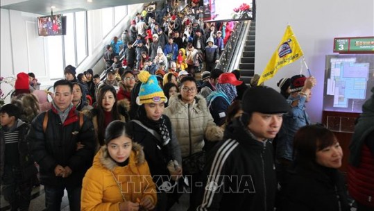 Lượng du khách đón năm mới tại Sa Pa, Lào Cai tăng cao bất chấp mưa rét