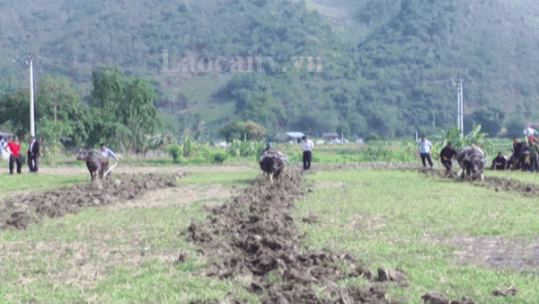 Tưng bừng Lễ hội xuống đồng của người Tày thôn Trung Đô, xã Bảo Nhai