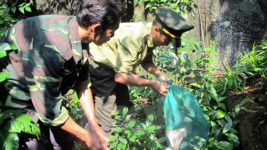 Đẩy mạnh kiểm soát việc buôn bán, tiêu thụ các loài động vật hoang dã