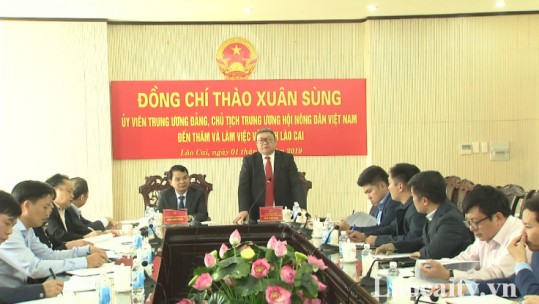 Chủ tịch Trung ương hội nông dân Việt Nam làm việc với UBND tỉnh Lào Cai