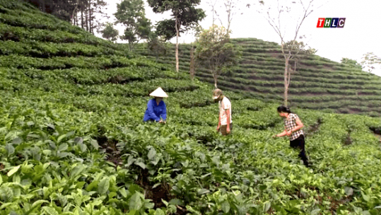 Quyết tâm giảm nghèo