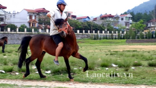 Giải đua 