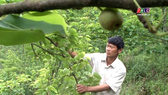 Si Ma Cai hoàn thành cơ bản mục tiêu Nghị quyết Đại hội Đảng bộ huyện nhiệm kỳ 2015 - 2020