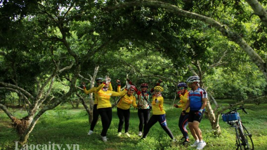 Gần 7 vạn lượt khách du lịch đến tham quan, trải nghiệm Festival Bắc Hà