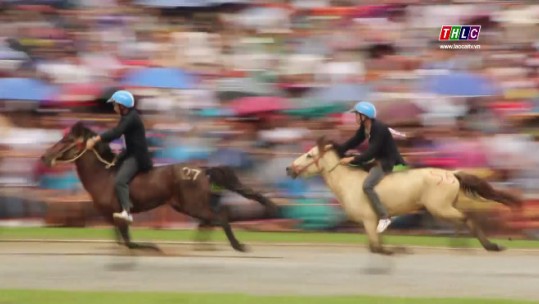 Chuyên mục văn hóa: Đua ngựa truyền thống Bắc Hà mở rộng năm 2019