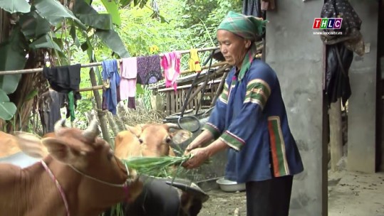 Giải quyết tận gốc tình trạng xuất cảnh trái phép đi làm thuê