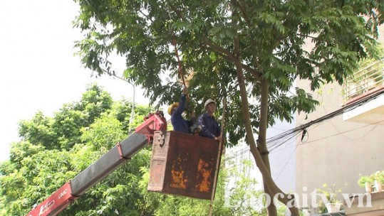 Đảm bảo an toàn đô thị khi mùa mưa bão về