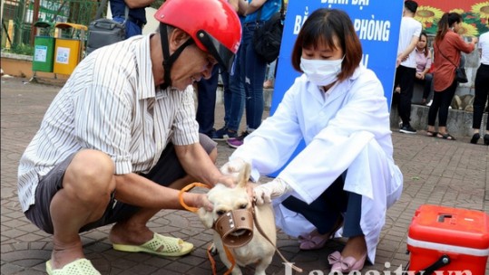 Trên 2 nghìn người tiêm vắc xin phòng dại và huyết thanh kháng dại